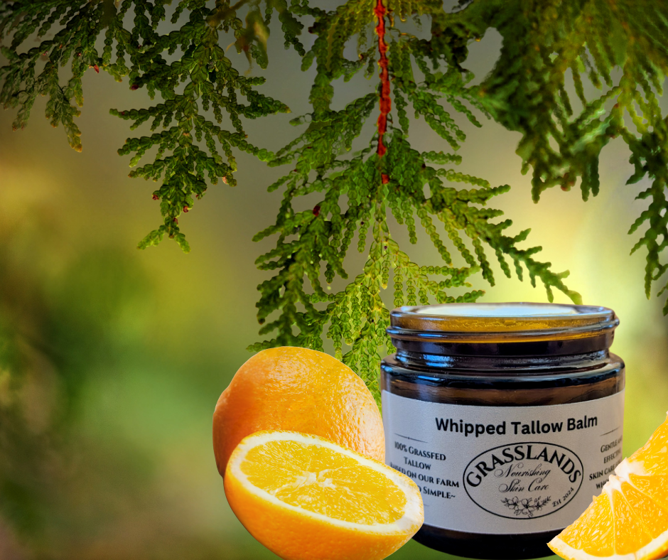 🌲Woodland Fresh Whipped Tallow - 2 oz jar (Copy)
